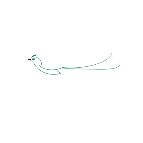 Quetzal en vuelo